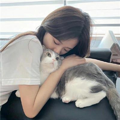 小姐与流氓2:狗儿逃家记